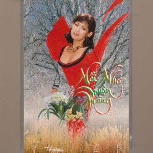 Thúy Nga Tape 93 - Nỗi Nhớ Muộn Màng - Ý Lan (KGTUS)