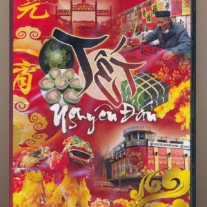 DVD Việt Documentary - Phóng Sự Tết Nguyên Đán