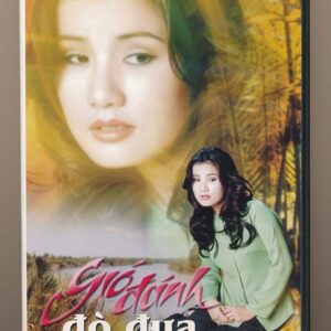 DVD Hải Âu Karaoke 16 - Gió Đánh Đò Đưa