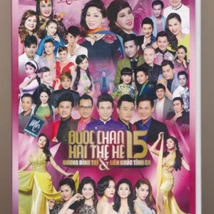 DVD Mưa Hồng - Bước Chân Hai Thế Hệ 15 - Dương Đình Trí Và Liên Khúc Tình Ca