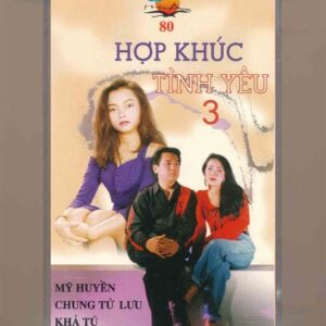 Hải Âu Tape 80 - Hợp Khúc Tình Yêu 3 - Mỹ Huyền - Chung Tử Lưu - Khả Tú (KGTUS)