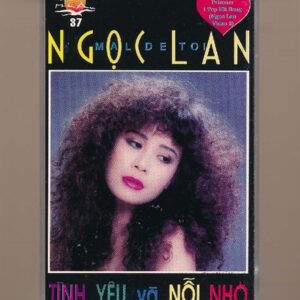 Hải Âu Tape 37 - Tình Yêu Và Nỗi Nhớ (KHÔNG BÌA GỐC) KGFR