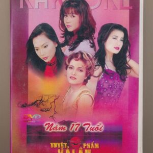 DVD Hải Âu Karaoke - Tuyệt Phẩm Hải Âu GOLD 3 - Năm 17 Tuổi
