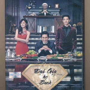DVD Film Hàn Quốc - Đại Gia Họ Back (8 Disc)
