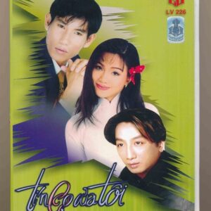 DVD Karaoke Làng Văn 226 - Tí Ngọ Của Tôi