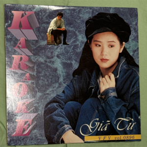 Laser Disc VFV Karaoke Vol 0896 - Giã Từ