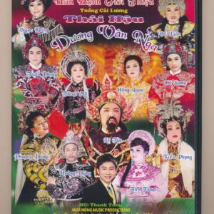 DVD Cải Lương (Mưa Hồng) - Thái Hậu Dương Vân Nga (1 Disc)