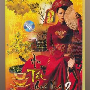 DVD VINA - Phóng Sự Ăn Tết Quê Nhà 2