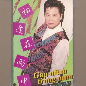 Tuấn Đạt Tape - Gặp Nhau Trong Mưa - Tuấn Đạt Đặc Biệt (KHÔNG BÌA GỐC) KGFR