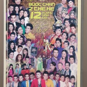 DVD Mưa Hồng - Bước Chân Hai Thế Hệ 12 - Những Chuyện Tình Xưa Và Nay