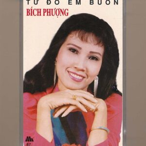 Mưa Hồng Tape 87 - Từ Đó Em Buồn - Bích Phượng (KGKSV)