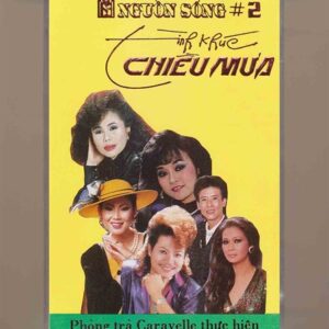 Nguồn Sống Tape 2 - Tình Khúc Chiều Mưa (Băng Đen, KHÔNG BÌA GỐC) KGTUS