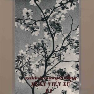 Vô Thường Tape 11 - Ru Khúc Mộng Thường 11 - Xuân Viễn Xứ (Băng Trong) KGTUS