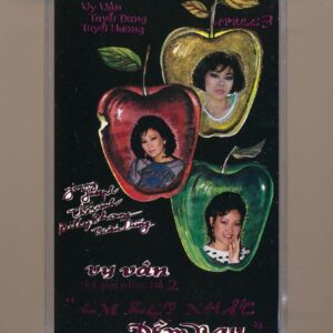 Vy Vân Tape 3 – Thế Giới Nhạc Trẻ 2 – Em Đẹp Nhất Đêm Nay (KGFR)