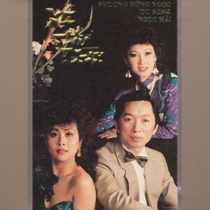 Thúy Anh Tape 17 - Xé Thư Tình - Phương Hồng Ngọc - Du Song - Ngọc Hải (Băng Trắng) KGTUS