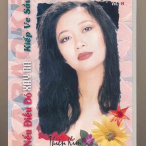 DVD Karaoke Nhạc Tình 13 - Nếu Điều Đó Xảy Ra - Kiếp Ve Sầu