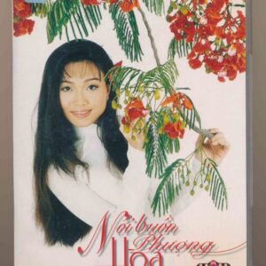 DVD Karaoke Làng Văn 68 - Nỗi Buồn Hoa Phượng