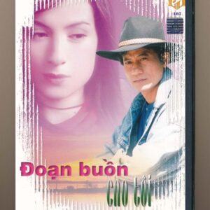 DVD Karaoke Làng Văn 107 – Đoạn Buồn Cho Tôi
