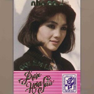 Nhã Ca Tape 2 (ĐỜI) - Gọi Em Là Đóa Hoa Sầu (KHÔNG BÌA GỐC) KGTUS