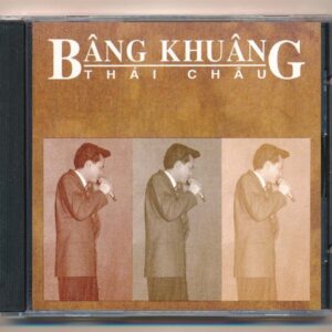 Mưa Hồng CD19 - Bâng Khuâng - Thái Châu (JVC) KGTUS