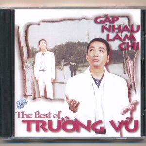 145. Gặp Nhau Làm Chi - Trường Vũ (FAKE USA)