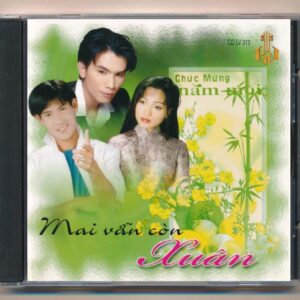 LVCD313 - Mai Vẫn Còn Xuân (Phôi Số) KGTUS