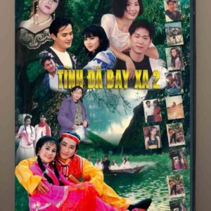 DVD Copy - Tình Đã Bay Xa 2