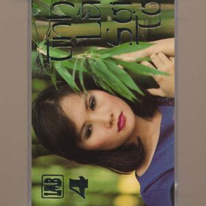 Lê Minh Bằng Tape 4 – Tình Là Sợi Tơ (KGTUS)