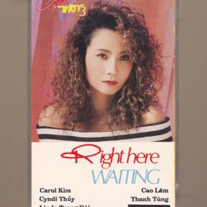 Cyndy Thủy Tape 3 - Right Here Waiting (KGTC)