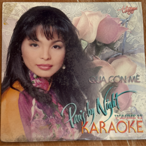 Laser Disc Karaoke Thúy Nga 13 - Qua Cơn Mê