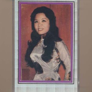 Hương Quê Nhạc Tuyển Tape - Tân Cổ Út Bạch Lan (Pre75)