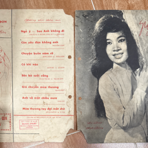 Nhạc Tờ - Giấc Ngủ Cô Đơn (Lê Dinh - Anh Bằng)