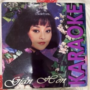 Laser Disc Karaoke NDBD 12 – Giận Hờn