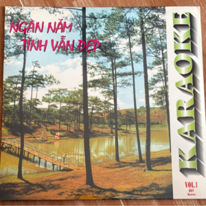 Laser Disc Karaoke New Castle 1 - Ngàn Năm Tình Vẫn Đẹp