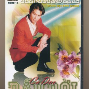 DVD NDBD Karaoke 14 - Ca Dao Đầu Đời